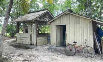 Imagem 6: Vende-se ou troca por casa em Boa Vista este sítio