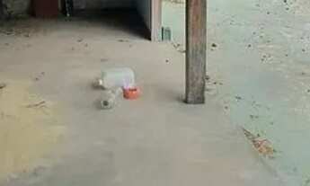 Imagem 6: Casa em Rua Jacarandá - Colonial - Contagem/MG