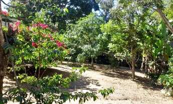 Imagem 6: Fazenda com Água Abundante em Cocalzinho-GO | 30 Alq