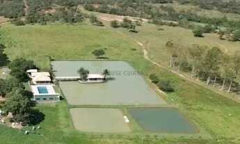 Imagem 3: Fazenda de 159 hectares em Buritis, Minas Gerais