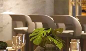 Imagem 2: Amplo 02 quartos no menino deus