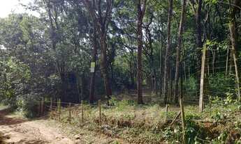 Imagem 2: Terreno em Mateus Leme