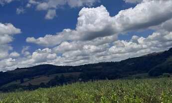 Imagem: Ds)terreno com negociação direto com o