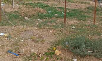 Imagem 2: Terreno na granja Lisboa