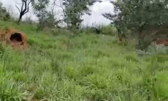 Imagem 3: TERRENO EM LOCALIZAÇÃO PRIVILEGIADA À VENDA!