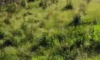 Imagem: Lotes residenciais no interior de SP