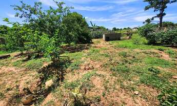 Imagem: Terreno para chácara 1000m² Mirassol