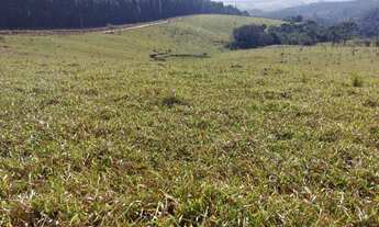 Imagem 7: Sorocaba Região 12.5 Alqueires