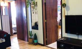 Imagem 4: SãO CAETANO DO SUL - Padrão - Nova Gerty