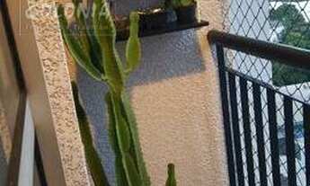 Imagem 3: São Bernardo do Campo - Apartamento Padrão - Planalto