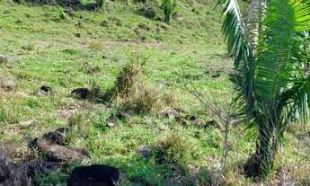 Imagem 4: 25.5 Alqueires Escriturado 32 Km da Cidade de Ariquemes