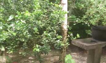 Imagem 4: SÍTIO/CHÁCARA NA BR 174( KM 41