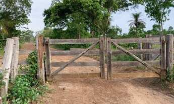 Imagem 4: Vendo fazenda na Barraria TO/MA