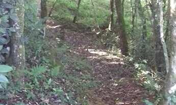 Imagem 2: Sítio em área nobre da Borrussia