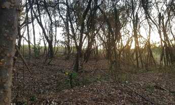 Imagem 4: Sitio chacara terreno c/ escritura e registro 16500m2 lençóis paulista