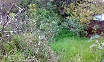 Imagem 2: área - Fazenda Santa Candida - Campinas