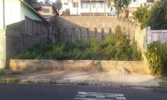 Imagem 2: Terreno - Jardim das Paineiras - Campinas