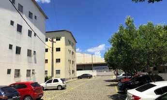 Imagem 1: Lindo e espaçoso apartamento no bairro Jardim Limoeiro