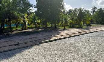 Imagem: Lotes na praia de tatuamunha entre patacho