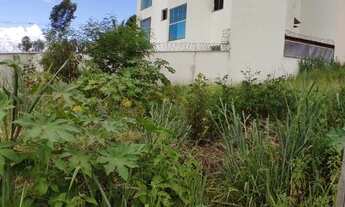 Imagem 4: Lote Bairro Cidade Nova. Cod. 064. Área 300 m², devidamente Registrado. Valor 180 mil