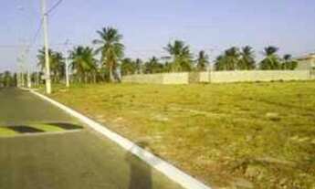 Imagem 3: Vendo ou repasso um lote em Salinas Pará