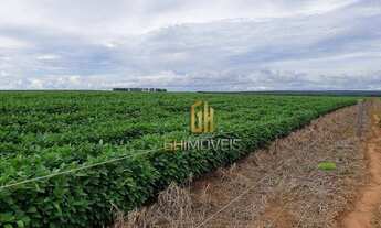Imagem 2: Fazenda à venda, 6100 Hectares por R$ 770.000 - Zona Rural - Nova Maringá/MT