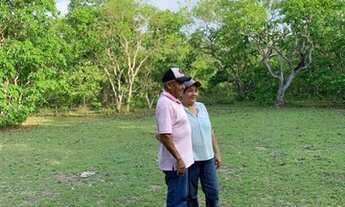 Imagem 3: Vendo fazenda na Barraria TO/MA