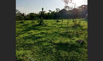 Imagem 3: Lote/Terreno para venda possui 1000 metros quadrados com 1 quarto