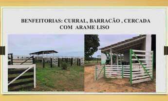 Imagem 6: Fazenda dupla aptidão Gurupi - TO