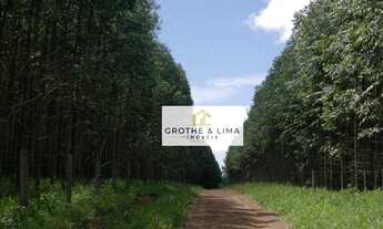 Imagem 3: Fazenda em Unaí-MG