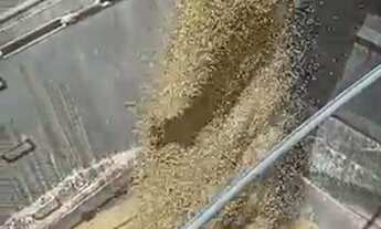 Imagem 14: 501 Alqs Arrendamento Disponivel Pra Soja Conceição do Araguaia PA