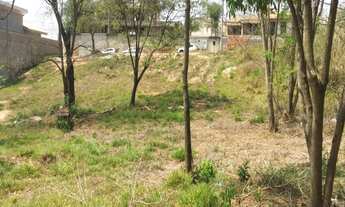 Imagem: Lote Idulipê