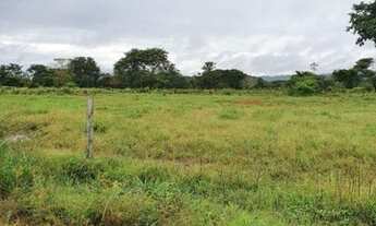 Imagem 2: 7.200 hectares Matupá- MT