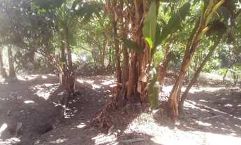 Imagem 4: Terreno com casa em bom estado estrutura pra laje