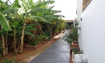 Imagem 2: Terreno - Jardim São Pedro - Campinas