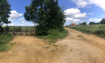 Imagem 2: TERRENO 26 ha PARA VENDA EM NOVA SOURE - BAHIA R$ 3.150.000,00