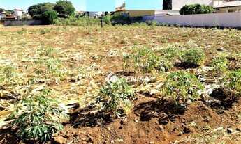 Imagem: Terreno à venda, 528 m² - Jardim Dom Bosco