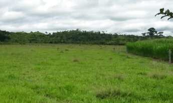 Imagem: Vende-se sitio Guarantã do norte - MT