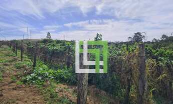 Imagem: Sítio à venda, 35000 m² por R$ 8.750.000,00