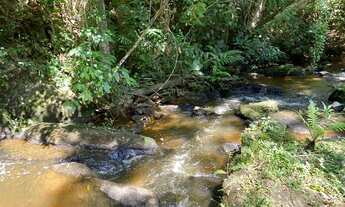 Imagem 7: VENDO O MELHOR TERRENO DE IGARATÁ!