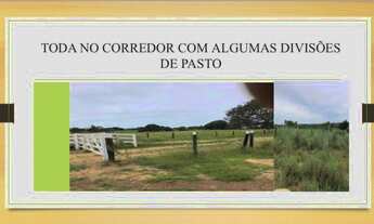 Imagem 3: Fazenda dupla aptidão Gurupi - TO