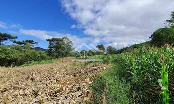 Imagem 3: Terreno plano e com vista no centro de Linha Nova na serra gaúcha