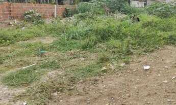 Imagem 2: Terreno em Extremoz