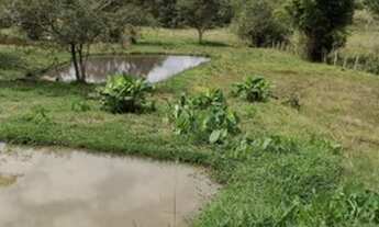 Imagem 3: Belíssima Chácara de 5.000m², Bairro Piedade, Itajubá/MG