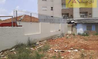 Imagem 3: São Paulo - Terreno Padrão - Jardim Cidália