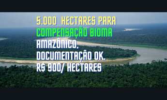 Imagem 3: 5.000 Hectares, área de compensação Ambiental No Bioma Amazônia, Documentação Ok, Amazonas