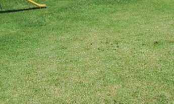 Imagem 4: Terreno Residencial à venda, Vila Rica, Sorocaba - TE0013