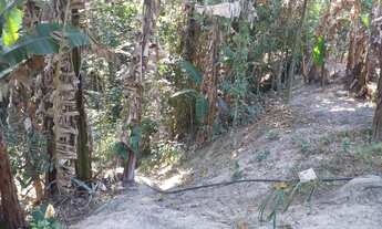 Imagem 5: Vendo terreno 35 MIL