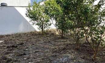 Imagem 5: Salão para alugar, 360 m² por R$ 25.000,00/mês - Centro - Santo André/SP