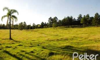 Imagem: PORTO ALEGRE - Terreno Padrão - Vila Nova
